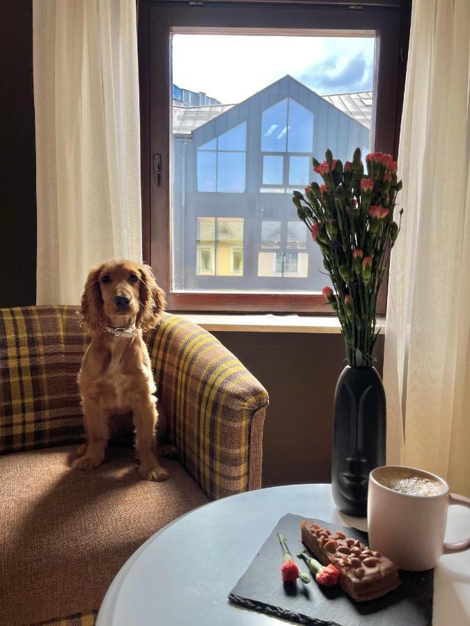 Apartament Grand Krupówki 47 Zakopane Bagian luar foto